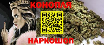 сатива Новокубанск