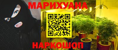 сатива Новокубанск