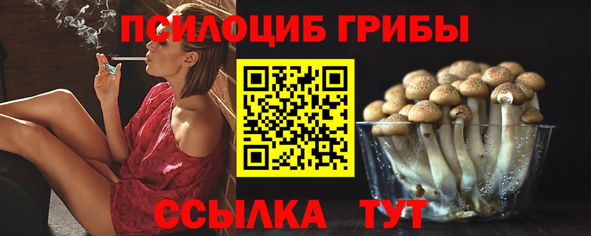 Псилоцибиновые грибы Cubensis  Галлюциногенные грибы мухоморы  Вход с VPN  Томск 